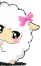 shy sheep