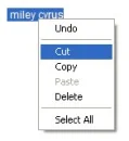 Lets CUT Miley Cyrus!