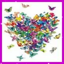 BUTTERFLIES