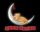 good night