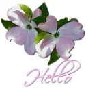 Hello