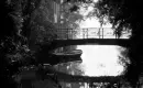 Rain over Bridge