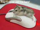 Funny Mouse