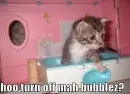 Bubbles
