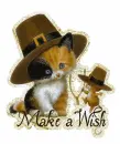 Make a wish