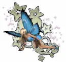 Fairy