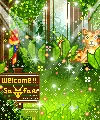 jungle