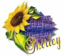 Shirley