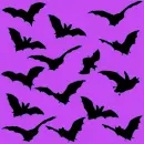 black and purple bats