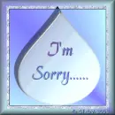 I'm Sorry