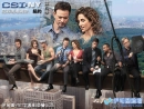 csy new york