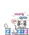 cute cat in the can