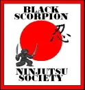 Ninja Flag