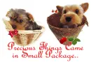 precious things ...