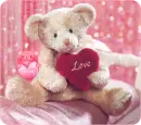 cute bear