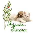 friends..forever
