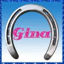 Silver Horseshoe (glitter boarder)- Gina