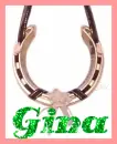 Horseshoe with Ribbons & Strap (glitter)- Gina