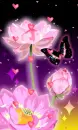 PINK FLOWERS