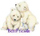 two polar bears
