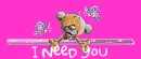 bear