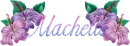 Machelle