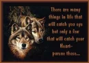 Wolves