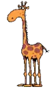 giraffe 
