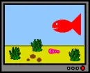 get a pet fish!