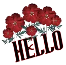 Hello