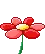 Spinnnig Daisy