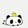 panda