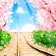 Cute Place