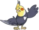 Calopsita
