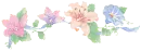 Flower Divider
