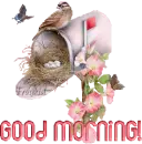 Good Morning