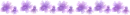 purple flowers