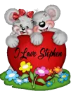 I love Stephen