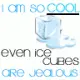 ice