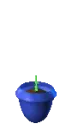 Growing Plant