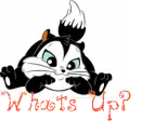 pussyfoot
