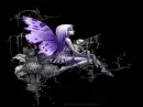 Angel wings