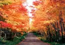 FALL