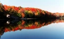 FALL