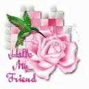 Hello My Friend