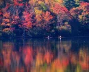 FALL
