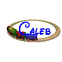 Train Set (animated)- Caleb