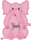 Yanily