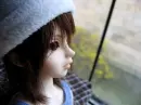 Doll