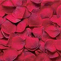 rose petal